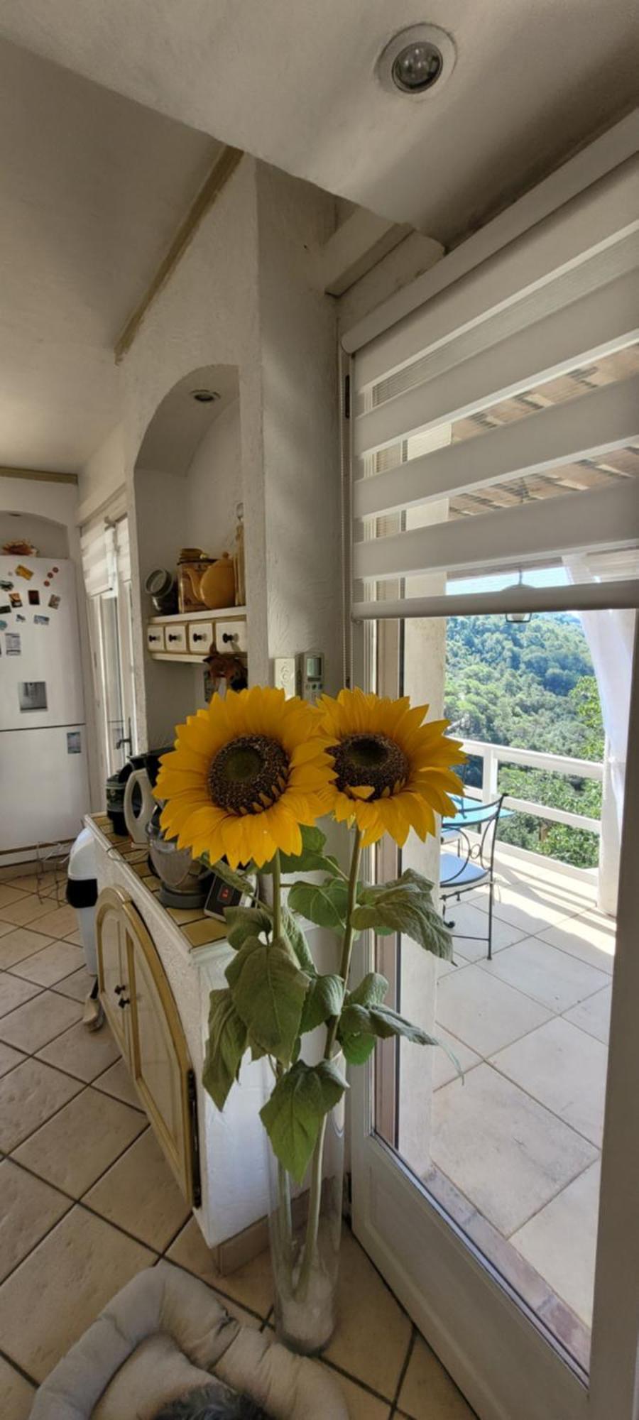 Вилла L'Etoile De Nice Colomars Экстерьер фото